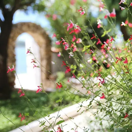 Villa Holiday Donatella Posedarje